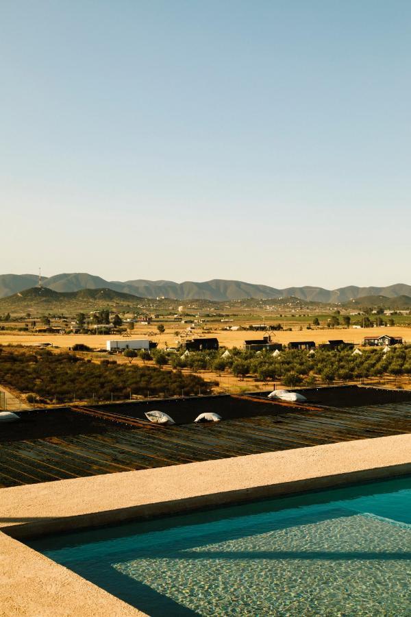 Flor De Cera Villa Valle de Guadalupe Luaran gambar